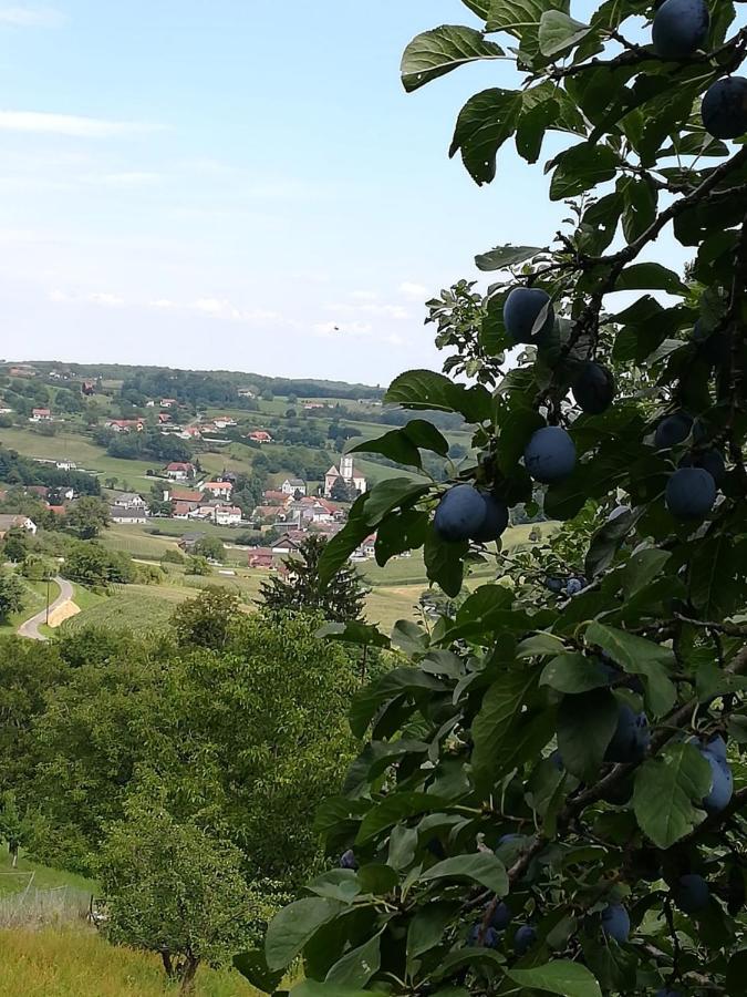 Kronprinz-Rudolf-Hof Unterlamm ภายนอก รูปภาพ